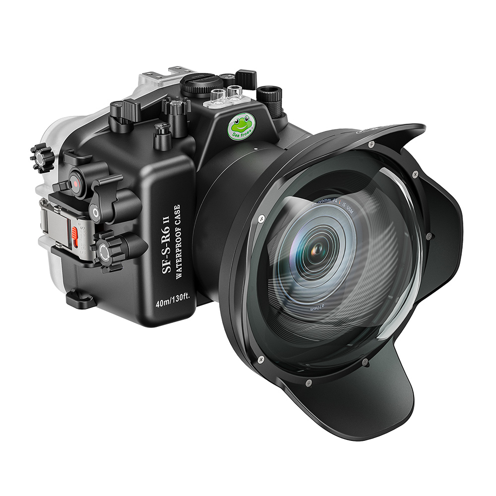 Seafrogs for Canon EOS R6 Mark II With WA005F Dome Port